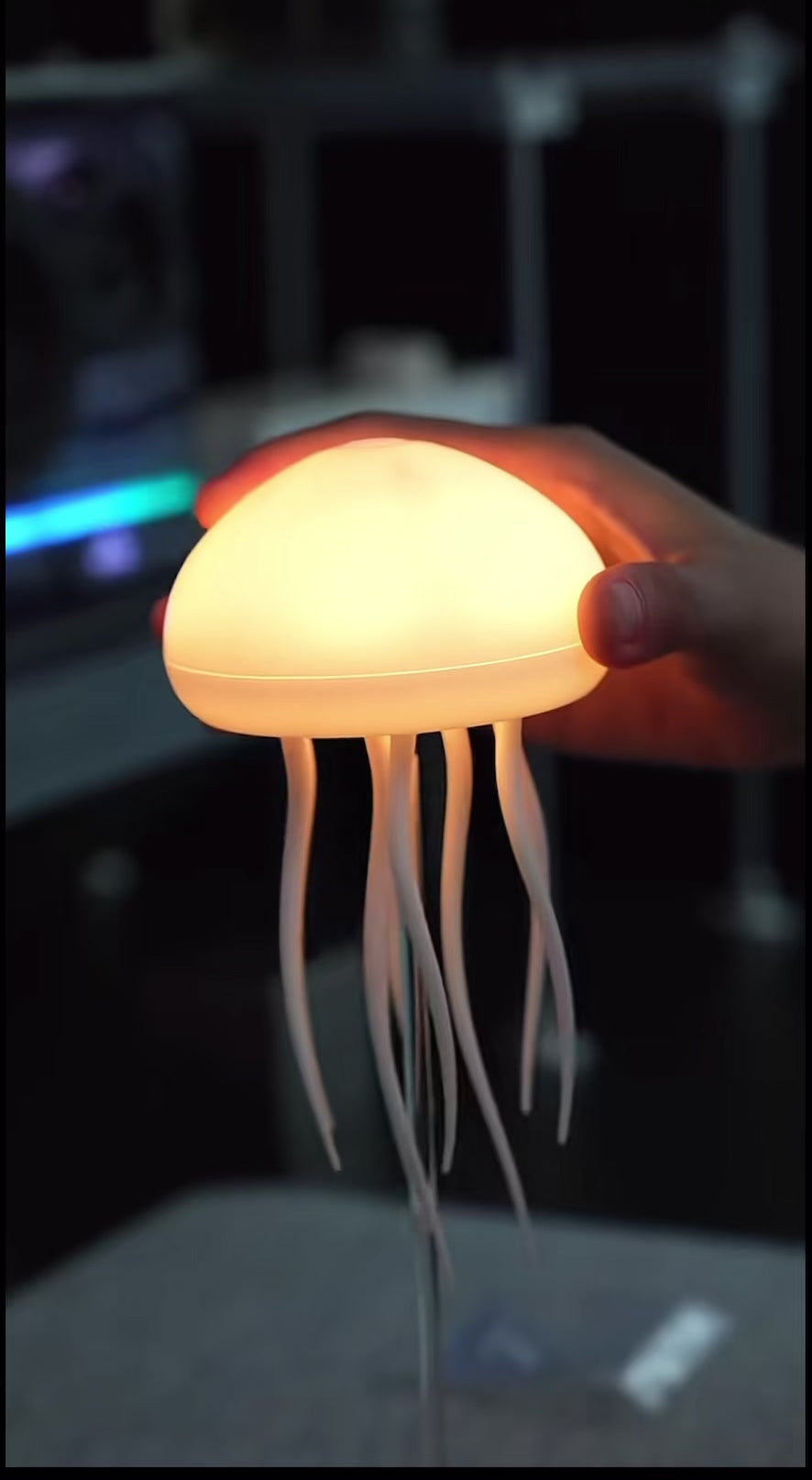 Charger la vidéo : 